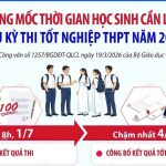 8h ngày 1/7 công bố điểm thi tốt nghiệp THPT 2026: Thí sinh cần lưu ý các mốc thời gian quan trọng